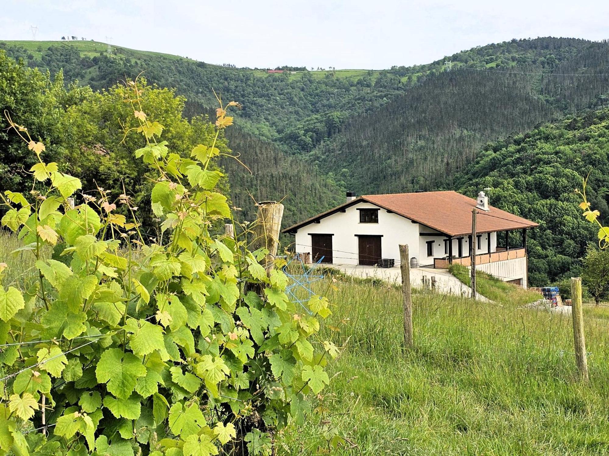 Arbela Apartamentuak Aia Екстер'єр фото